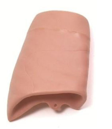 Picture of Airway Management Trainer Right lung  Laerdal®250600