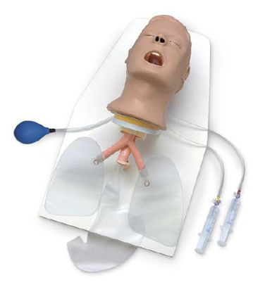 Picture of HEAD, TRAINER LIFEFORM ADVANCED AIRWAY LARRY W/STANDLF03685