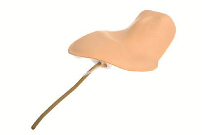 Picture of Neck Pad Laerdal®092001