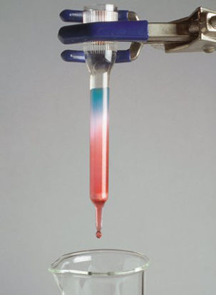 Picture of Student Lab Activity Edvotek™ Ion-Exchange ChromatographyS94617