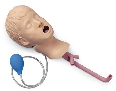 Picture of TRAINER, AIRWAY MANAGEMENT HEAD ONLY CHLDLF03608