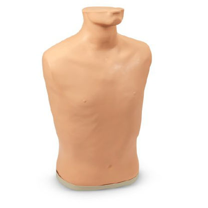 Picture of Additional Torso Manikin Life/Form®LF01145
