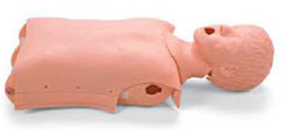 Picture of Airway Management Torso Child CRiSis™LF03633