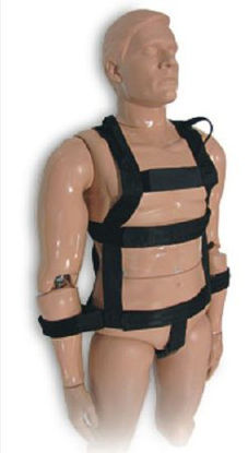 Picture of Rescue Randy Harness Male149-1470