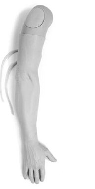 Picture of Multi-Veinous IV Training Arm Male Adult380700