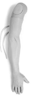 Picture of Multi-Veinous IV Training Arm Male Adult380700