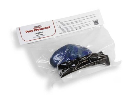 Picture of Preserved Pig Kidney Double Injected Type470223-858