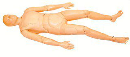 Picture of Extri Kelly Adult 58 lbs.101-10001