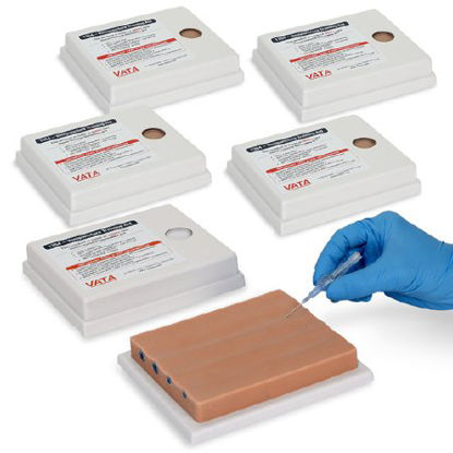 Picture of Vein Venipuncture Training Aid NascoSB25040