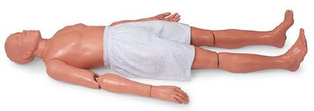 Picture of Heart Model Nasco149-1344