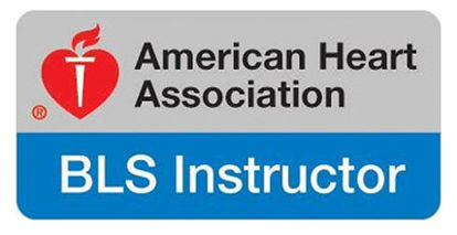 Picture of PIN, LAPEL BLS INSTRUCTOR80-1160