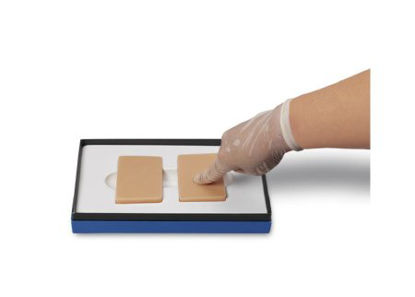 Picture of Edema Trainer Life/Form® 1.75 lbs.LF00946