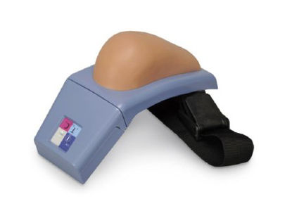 Picture of Injection Trainer American 3B Scientific 4-1/2 lbs. 5 ml SyringeSB40228