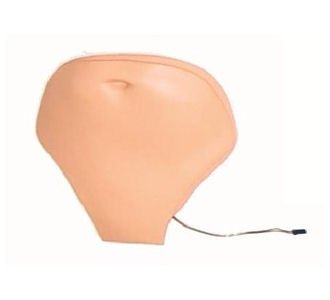 Picture of Replacement Abdominal Plate Laerdal® Gender Neutral Adult300-02050