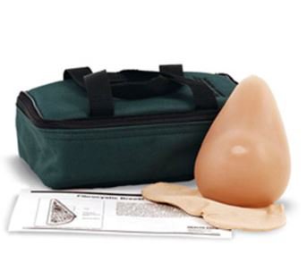 Picture of Fibrocystic Breast ModelSB23328