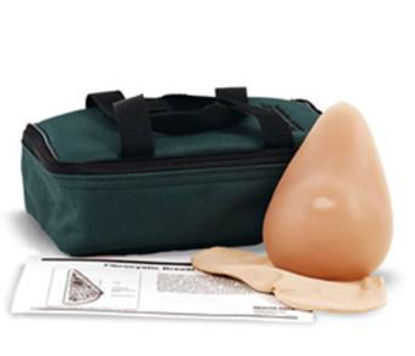 Picture of Fibrocystic Breast ModelSB23328