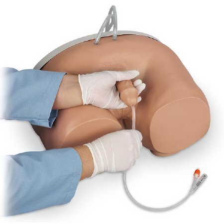 Picture of Catheterization Simulator Life/Form® Male 12 lbs.LF00855