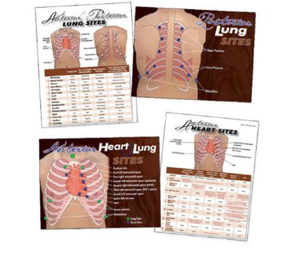 Picture of Heart & Lung Sites Visual Aids Complete Set Nasco™LF00684