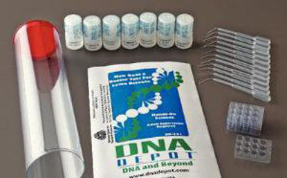 Picture of Lyme Disease Test Ward's368907