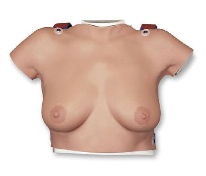 Picture of Breast Self-Examination Model American 3B Scientific Female Adult 16 lbs. SiliconeSB41504