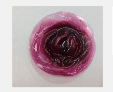 Picture of Protrusion Stikon800-901