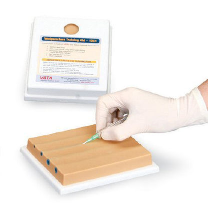 Picture of Venipuncture Training Aid 4 Vein Model NascoSB23527