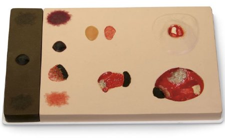 Picture of Pressure Ulcer Model ‘Pat’ Pressure Ulcer Model™ 5-1/2 lbs.SB46506