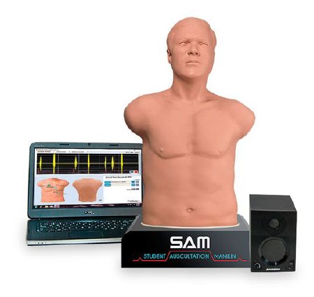 Picture of The Student Auscultation Manikin Light Sam 3G MaleNZ10305