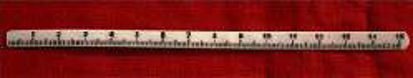 Picture of RULER, WOUND MEASURE 15CMX.5CM(100/BX)AR101