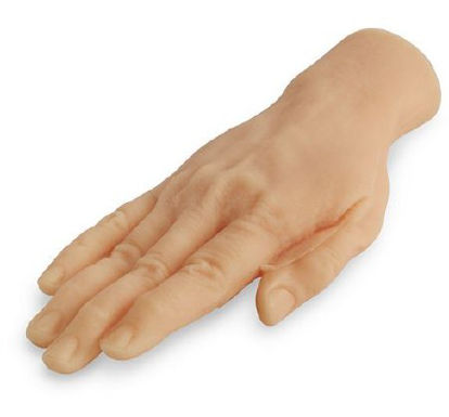 Picture of Venipuncture Training Hand NascoSB23499
