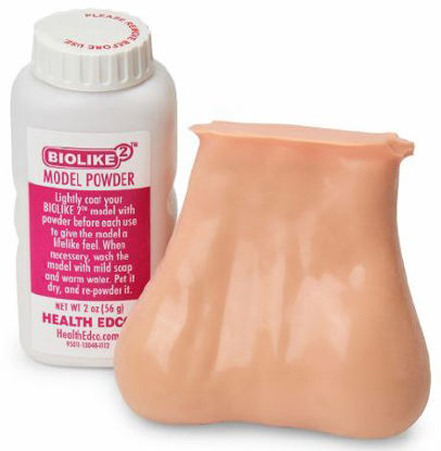 Picture of Testicle Self-Exam Model Testicle Model - 2 Lumps in 1 Testicle Male 1-1/2 lbs. Biolike 2 Synthetic TissueSB41580