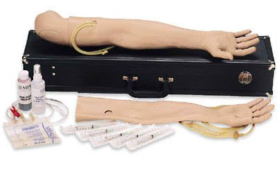Picture of Male Multi-Venous IV Training Arm KitLG02066