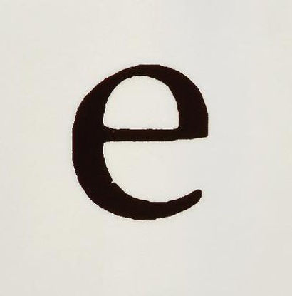Picture of Teaching Aid Letter "e" Whole Mount, Unstained949111