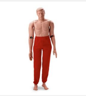 Picture of Resuce Randy Male 165 lbs.149-1475NS