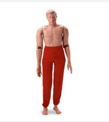 Picture of Resuce Randy Male 165 lbs.149-1475NS