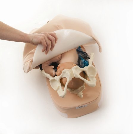 Picture of Abdominal Palpation Model NascoSB23476