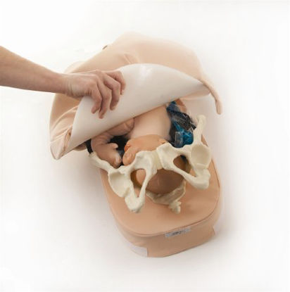Picture of Abdominal Palpation Model NascoSB23476