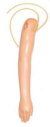 Picture of Multi-Veinous IV Training Arm Pediatric375-71001
