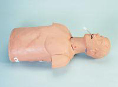 Picture of Airway Management Torso Mannequin Simulaids101-086