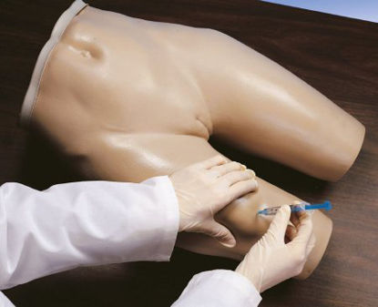 Picture of I.M. Injection Simulator Life/Form® 18.74 lbs.Z02813