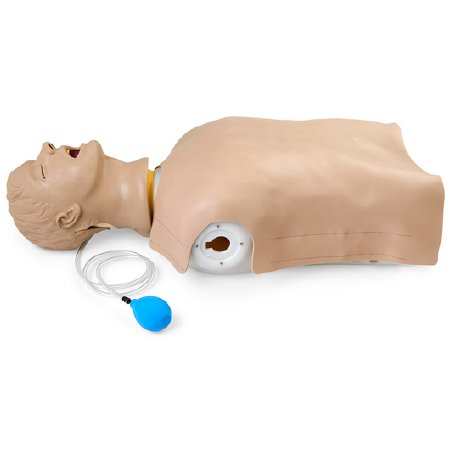 Picture of Airway Management Torso Life/Form®LF03669
