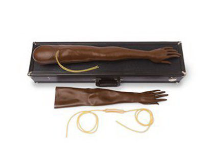 Picture of Multi-Venous IV Training Arm Kit Female Adult375-50001B