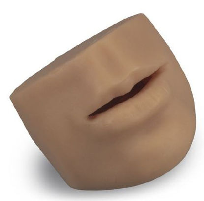 Picture of FACIAL SUTURING, REPLCMNT MOUTH SKIN LIFE/FORMLF01046 B