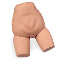 Picture of Fundus Skills and Assessment Trainer NascoLG02176