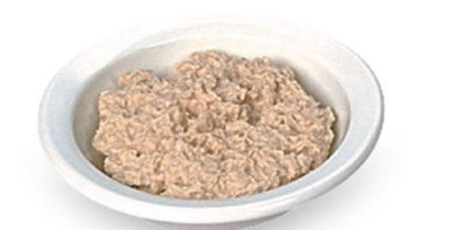 Picture of Oatmeal Food Replica Life/Form®W06690