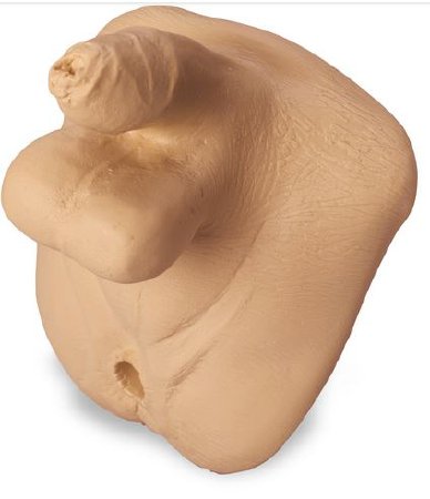 Picture of Replacement Genitalia Basic Life/Form® Geri™ MaleLF04109