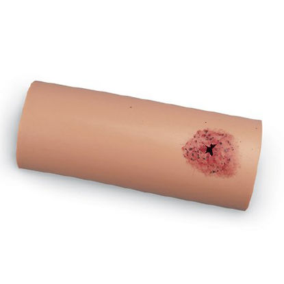 Picture of Hemorrhage Control Trainer Simulaids® 8 lbs.800-100851