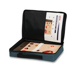 Picture of Carrying CaseSB47341