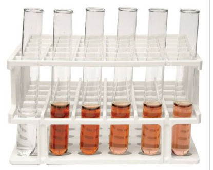 Picture of Laboratory Kit Edvotek™ Advanced Placement Laboratory Kit 2: Principles of Enzyme CatalysisS11282