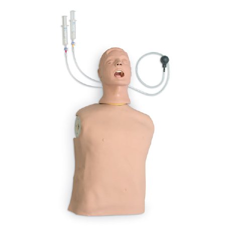Picture of Airway Management Torso Life/Form® Advanced Airway Larry MaleLF03686